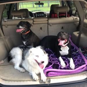 Meet your Posher, Nick